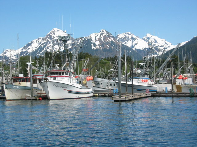 1074-Sitka.jpg 