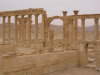 Thumbnail 0373-Palmyra.jpg 