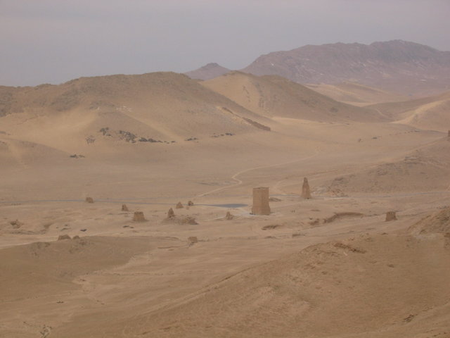 0286-Palmyra.jpg 