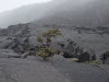 Thumbnail 0519-KilaueaIkiCrater.jpg 
