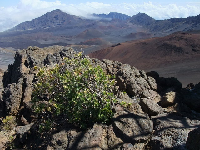 0764-Haleakala.jpg 