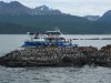 Thumbnail 0738-SeaLionIsland.jpg 