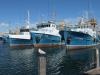 Thumbnail 0421-Fremantle.jpg 