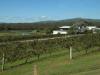 Thumbnail 1337-HunterValley.jpg 