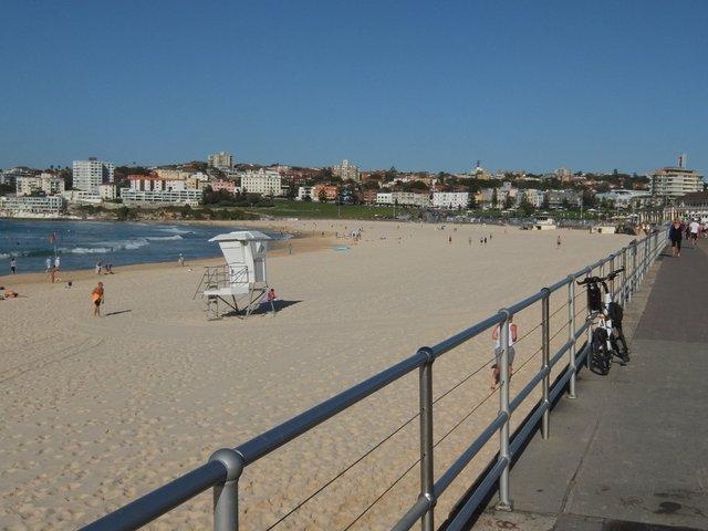 1566-BondiBeach.jpg 