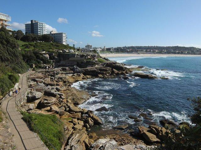 1583-Bondi.jpg 