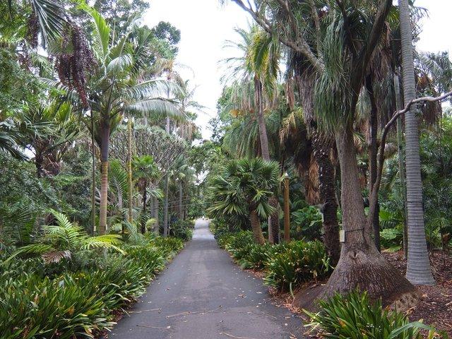 1815-RoyalBotanicGardens.jpg 