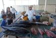 Thumbnail 0082-FishMarket.jpg 