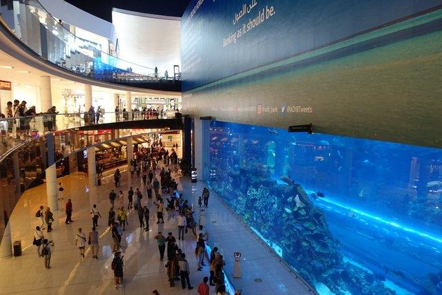 0614-DubaiAquarium.jpg 