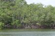 Thumbnail 0125-Everglades.jpg 