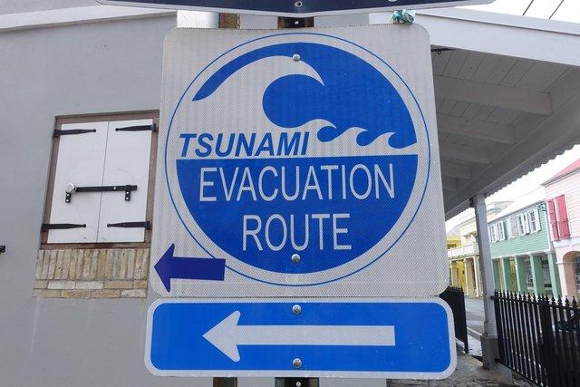 0894-Tsunami.jpg 