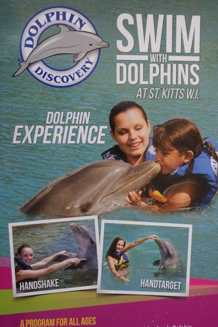 0934-DolphinDiscovery.jpg 