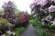 Thumbnail 1027-BotanicGardens.jpg 