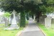 Thumbnail 1070-GlasnevinCemetery.jpg 