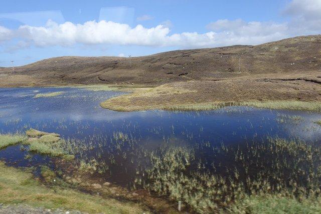 0750-Shetland.jpg 