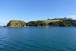 Thumbnail 0196-Waiheke.jpg 