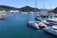 Thumbnail 0654-Picton.jpg 