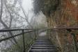 Thumbnail 1402-GiantStairway.jpg 