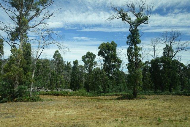 1235-TasmanPeninsula.jpg 