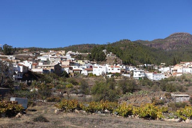 437-VilaFlor.jpg 