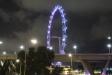 Thumbnail 627-SingaporeFlyer.jpg 