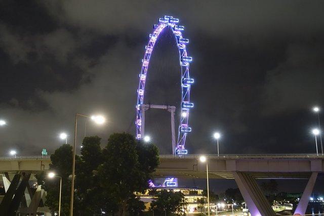 627-SingaporeFlyer.jpg 