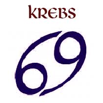 KREBS - Cancer