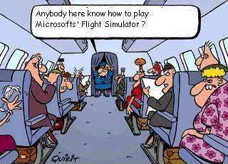 Microsoft Flight Simulator ?