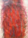 roter Akt