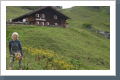 Klicken Sie auf das Bild, um es zu vergr&ouml;&szlig;ern
