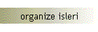 organize isleri