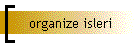 organize isleri