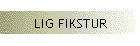 LIG FIKSTUR
