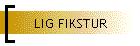 LIG FIKSTUR