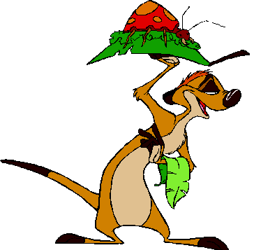 TIMON01.gif (5847 Byte)