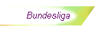 Bundesliga