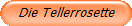 Die Tellerrosette