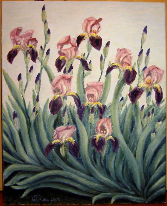 Iris Iris<br><p><br>Öl auf Leinwand, 40 x 50 cm