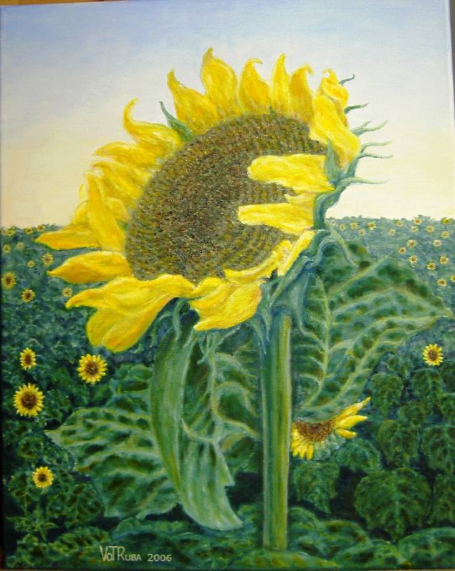 Sonnenblumen Sonnenblumen, die Große<br><p><br>Öl auf Leinwand, 40 x 50 cm