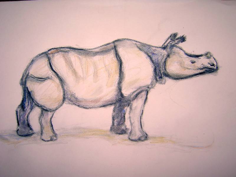 Nashorn_02 Nashorn 2<br><p><br>Bleistift und Kreide auf Papier