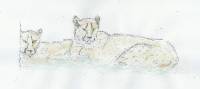 Gepard_01 Gepard 1