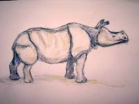 Nashorn_02 Nashorn 2