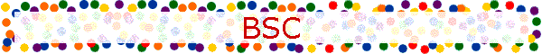 BSC
