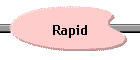 Rapid