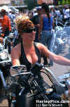 39.jpg (46623 Byte)