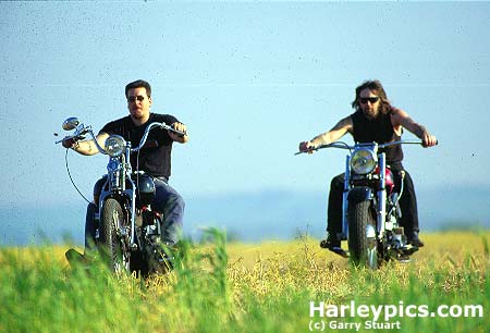 harley14.jpg (25250 Byte)