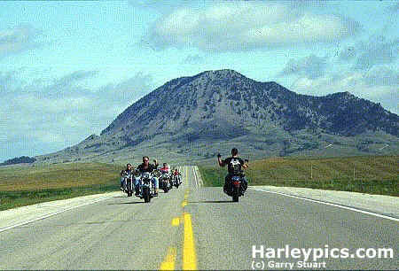 harley23.jpg (22939 Byte)