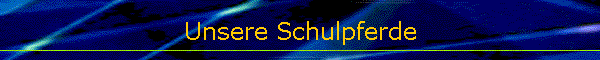 Unsere Schulpferde