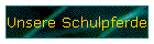 Unsere Schulpferde