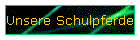 Unsere Schulpferde